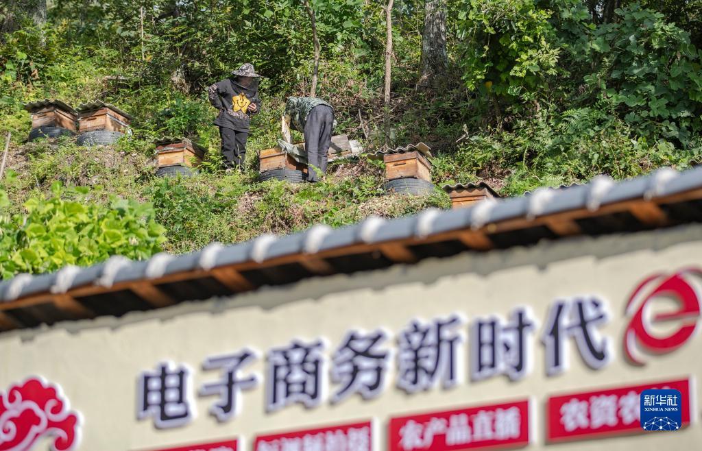 宝马游戏游戏平台网址